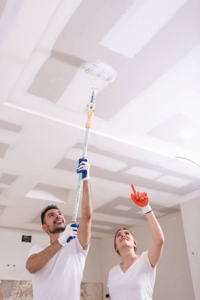 Best Asbestos and Lead Testing During Mold Inspection  in Rossville, GA