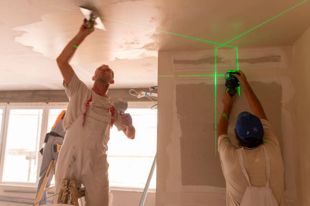 Best Crawl Space Mold Remediation  in Rossville, GA