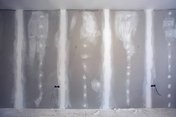 Best Crawl Space Mold Remediation  in Rossville, GA